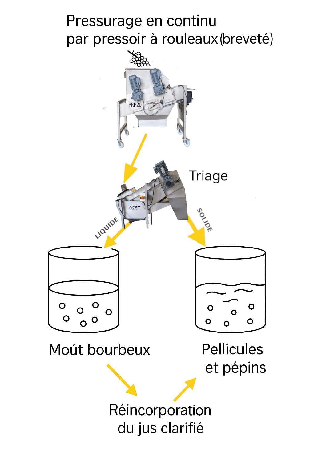 Schéma du procédé FePJuC : pressurage continu, tri, séparation gravitaire, débourbage et réassemblage